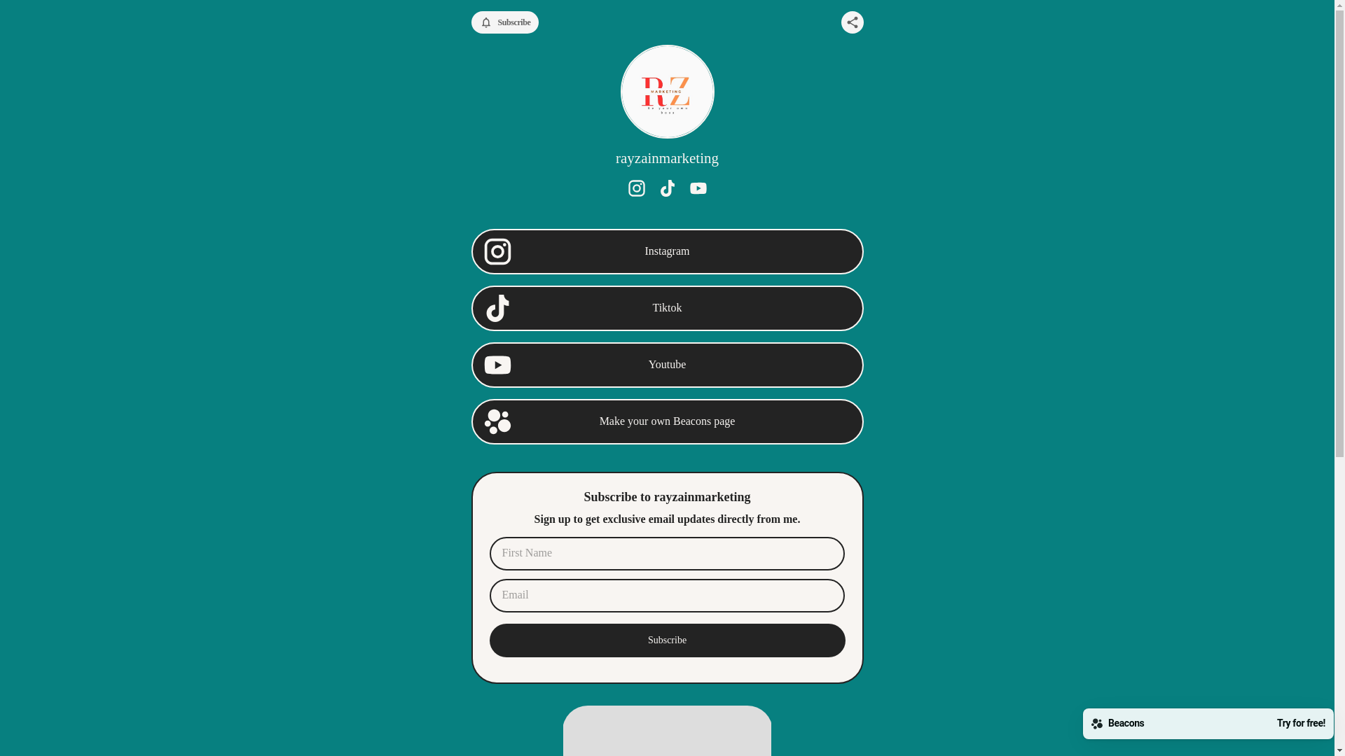 website screenshot of https://rayzainmarketing.com/