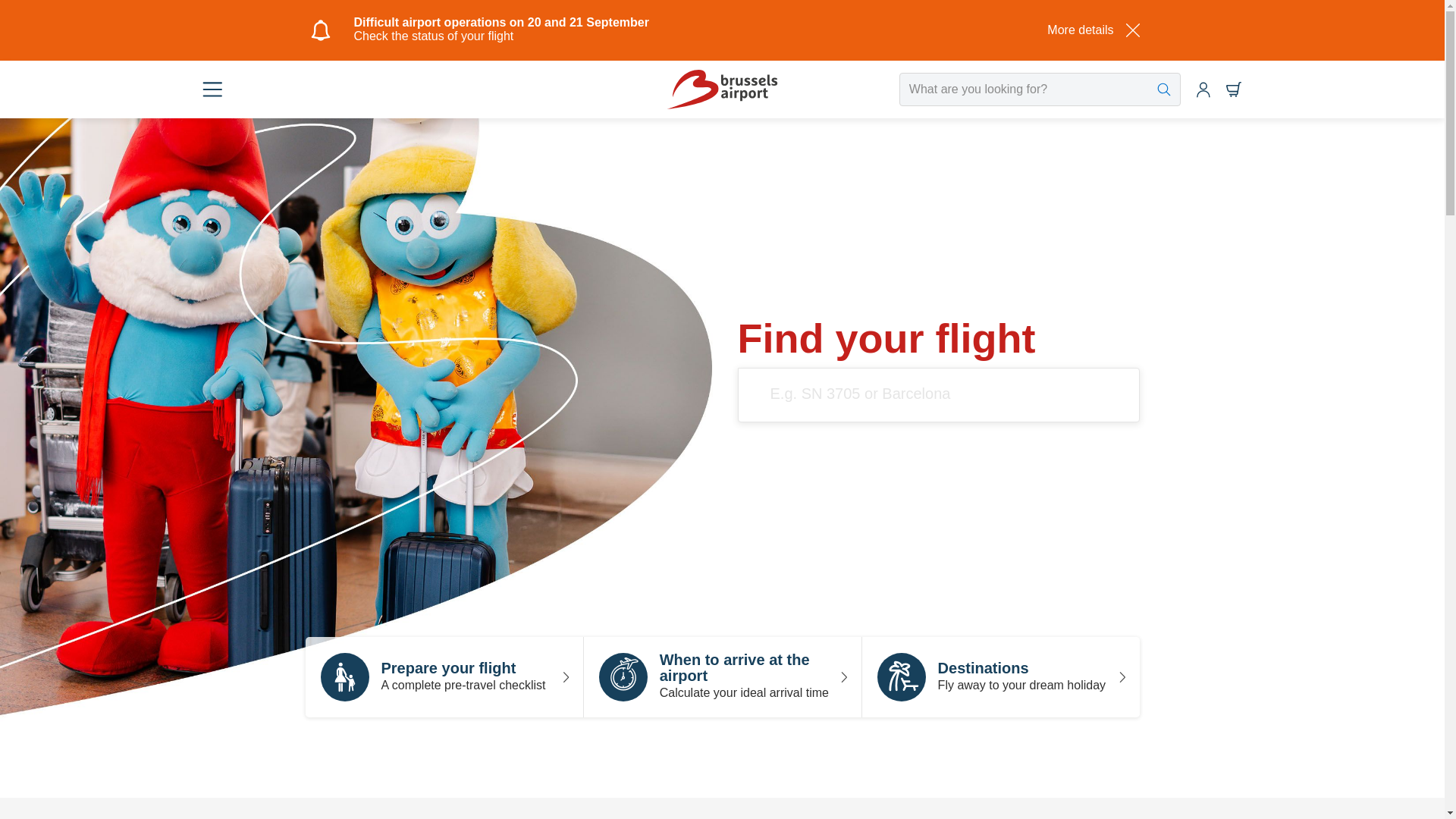 website screenshot of https://www.brusselsairport.be/