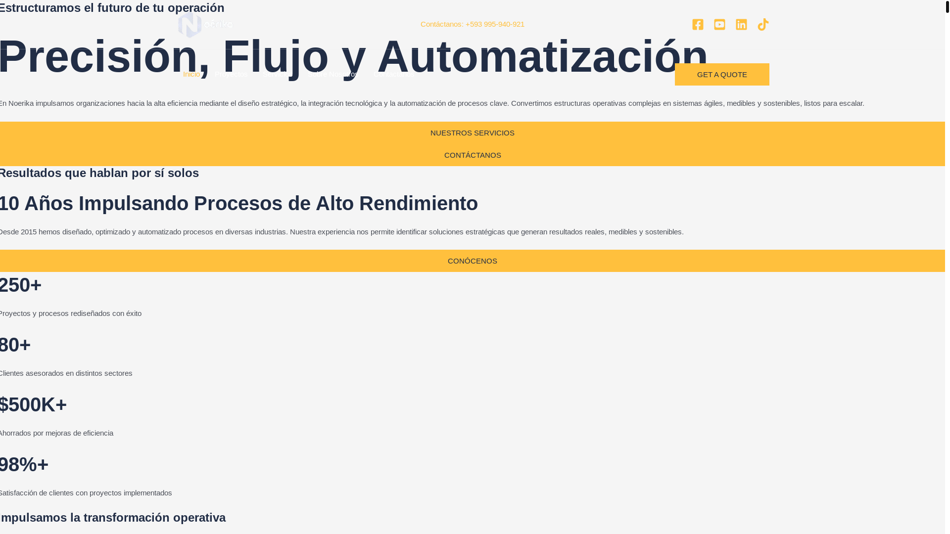 website screenshot of https://noerikaprocess.com/