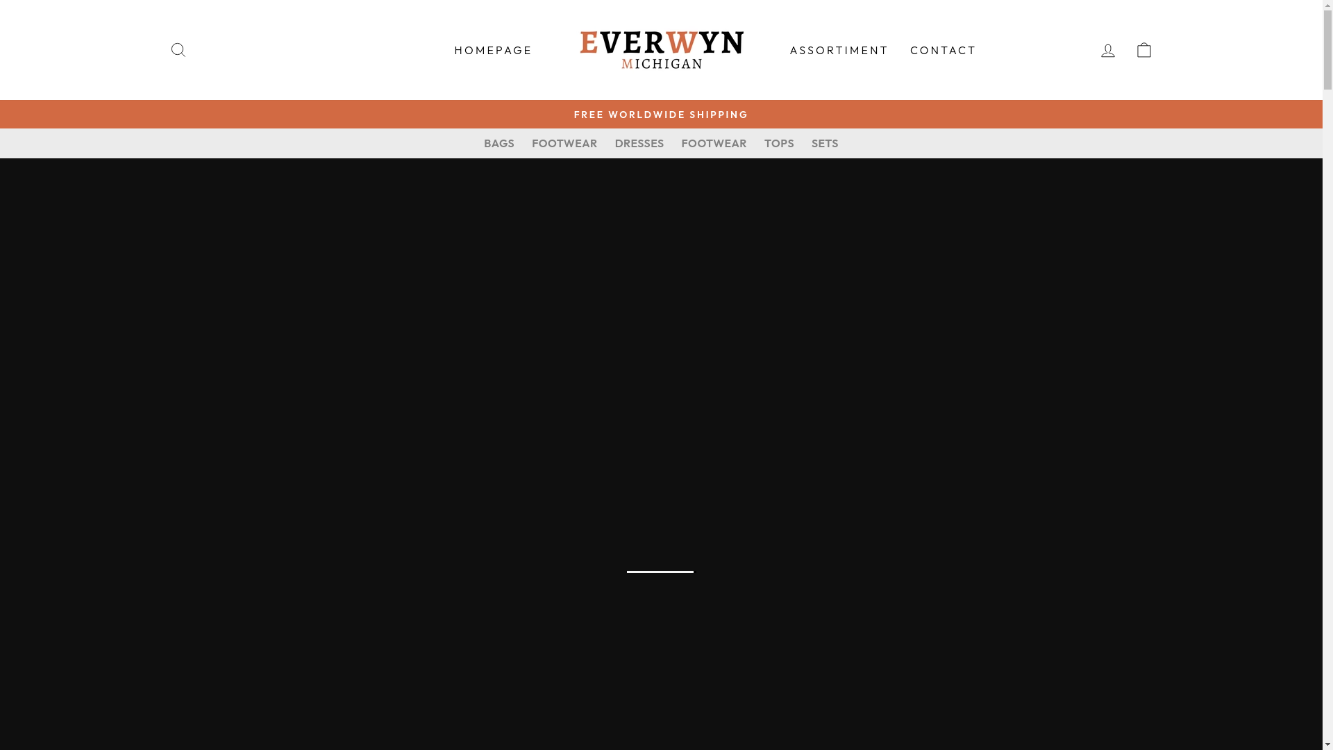 website screenshot of https://everwynmichigan.com/