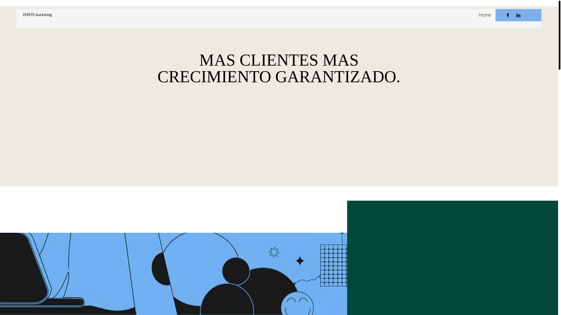 website screenshot of https://havdmarketing.com/