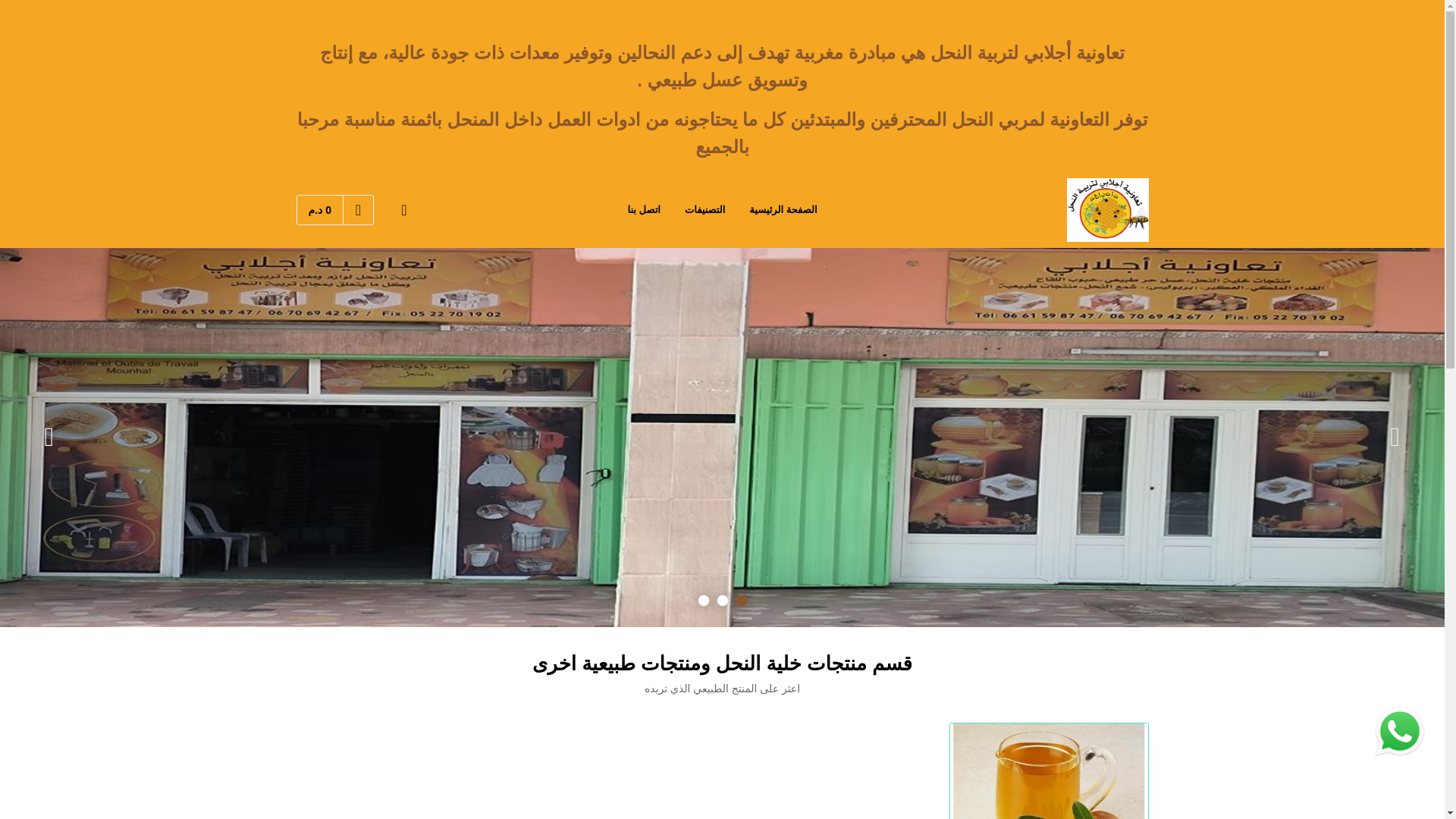 website screenshot of https://apicoleajellabi.gallery/