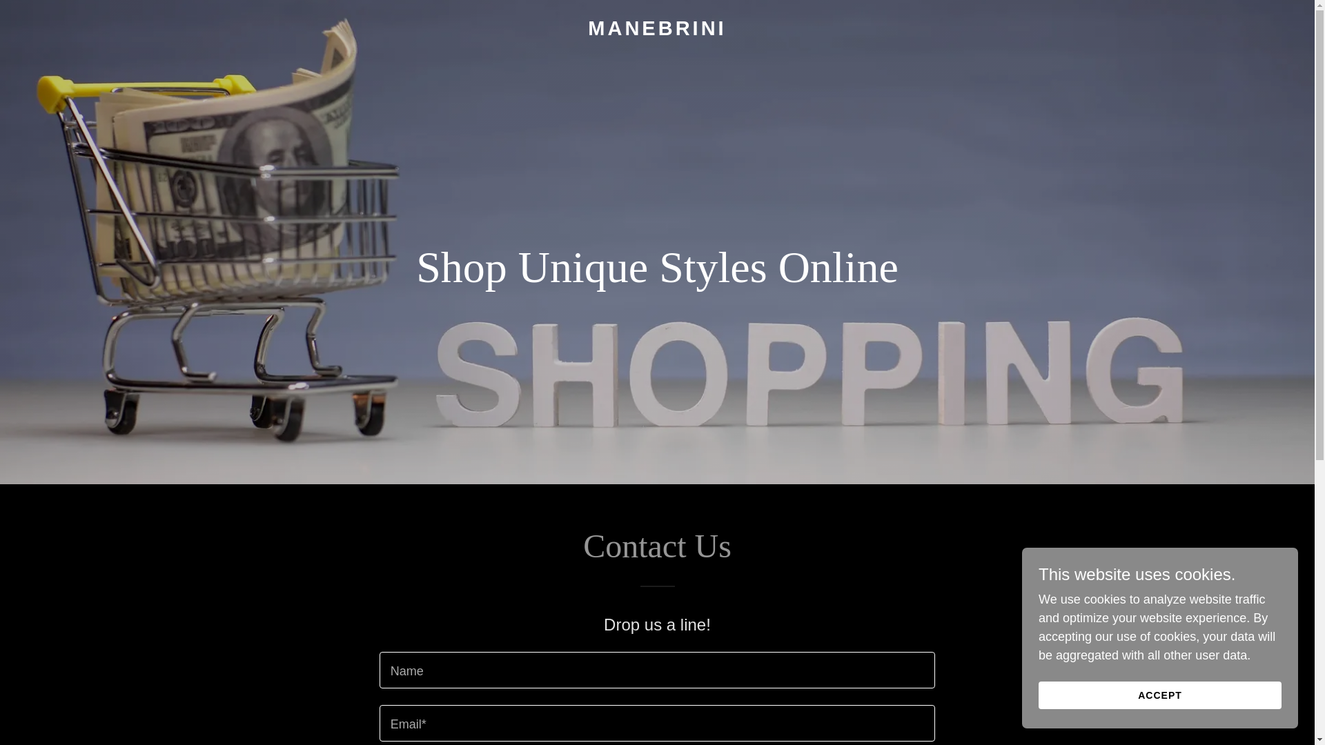 website screenshot of https://manebrini.me/