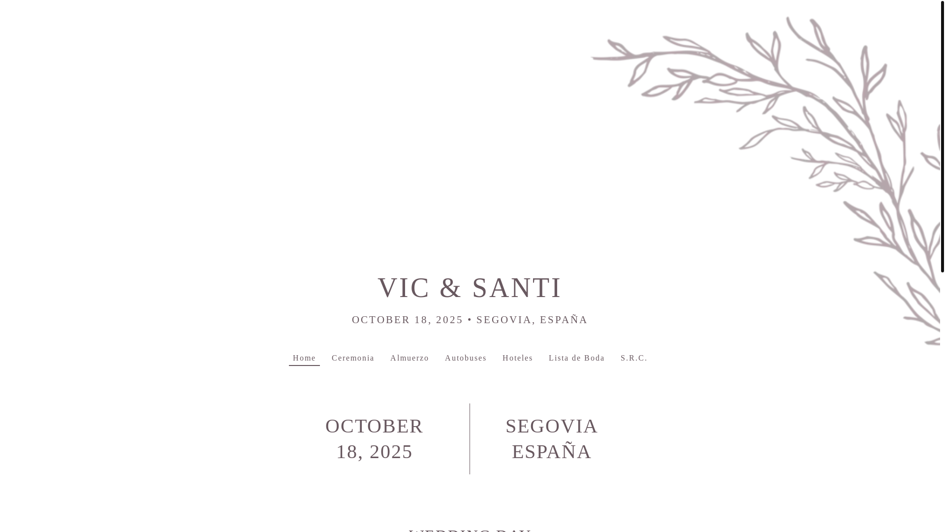website screenshot of https://vicysanti.com/