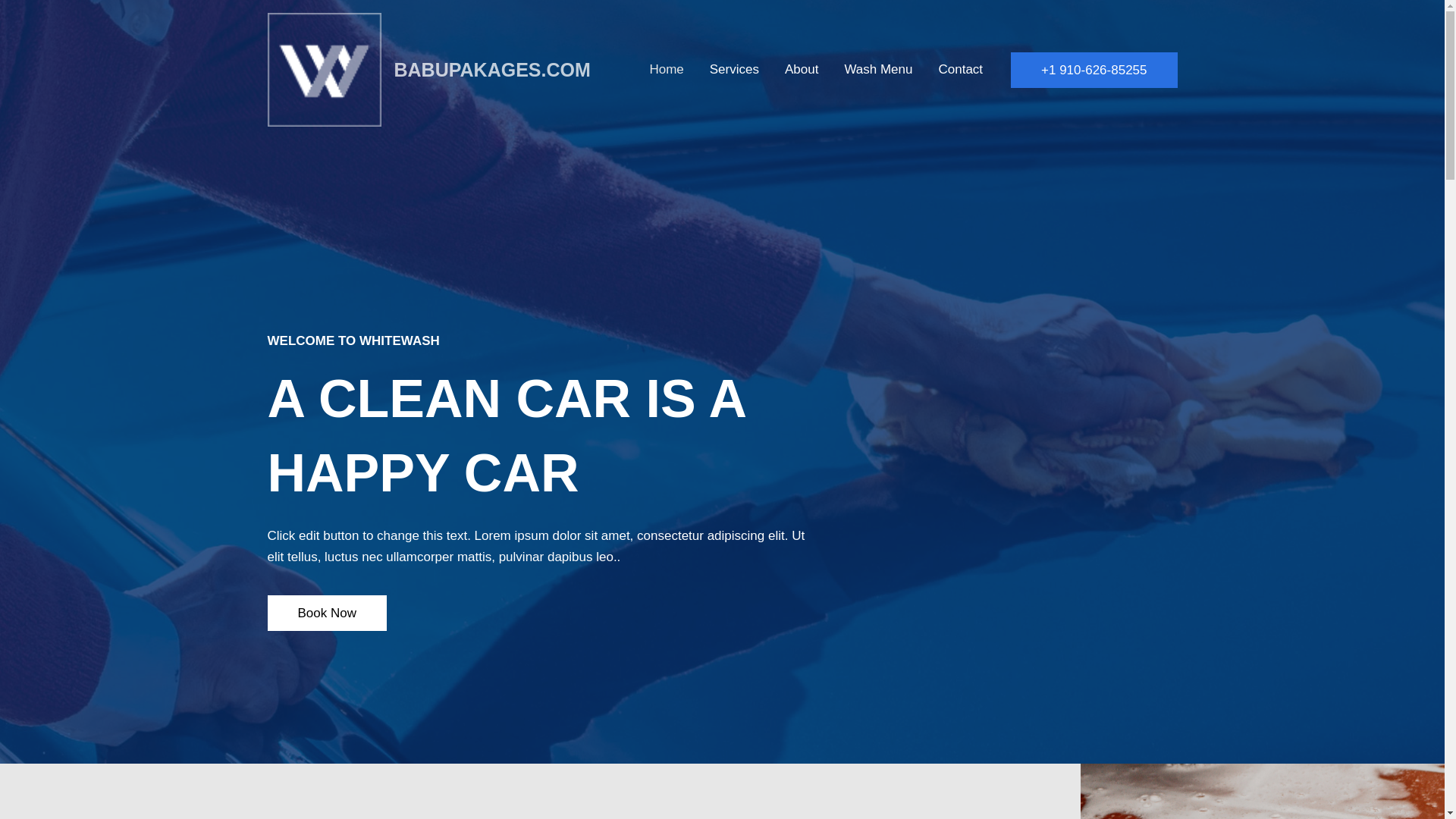 website screenshot of https://babupakages.com/