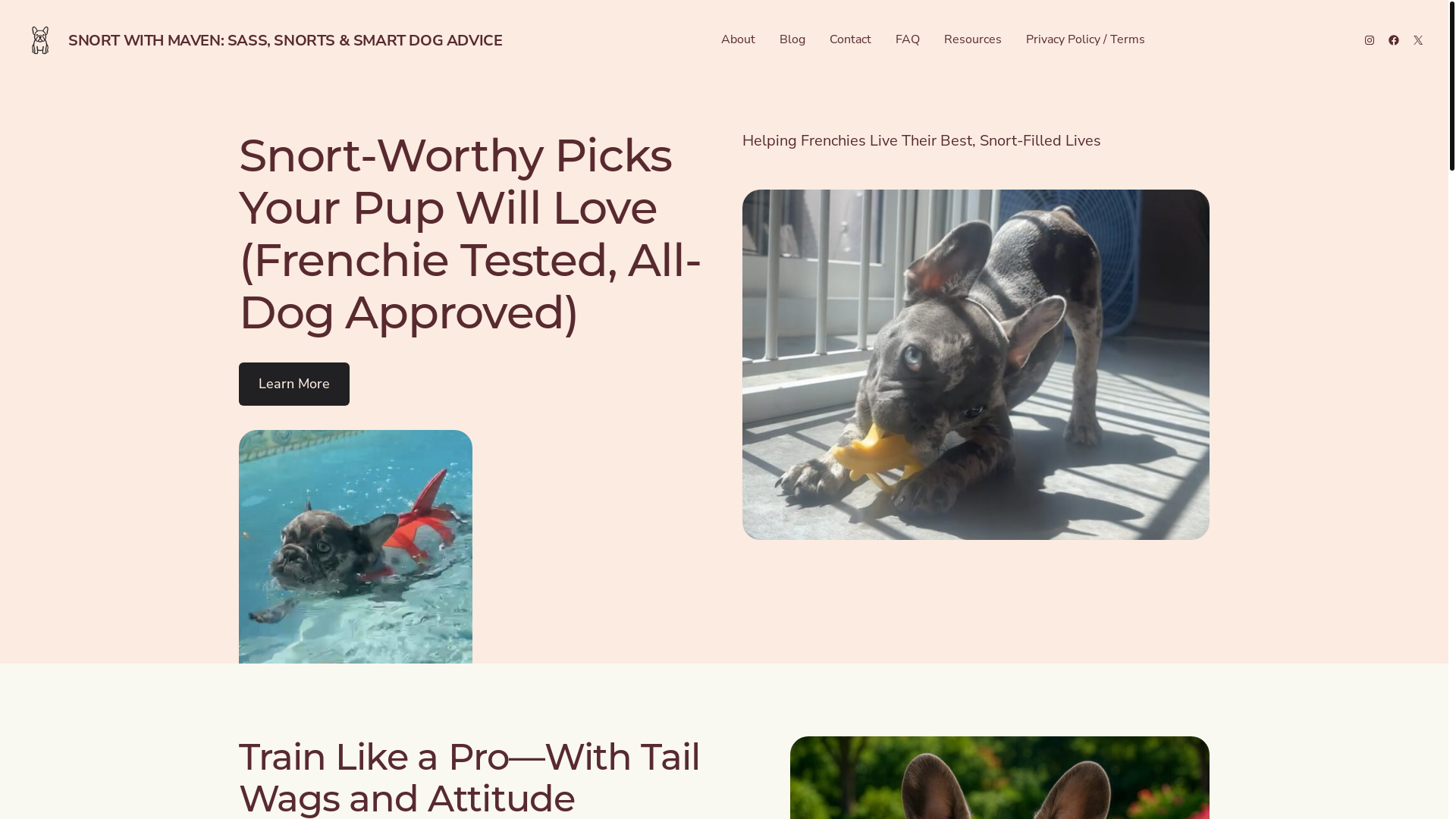 website screenshot of https://snortwithmaven.com/