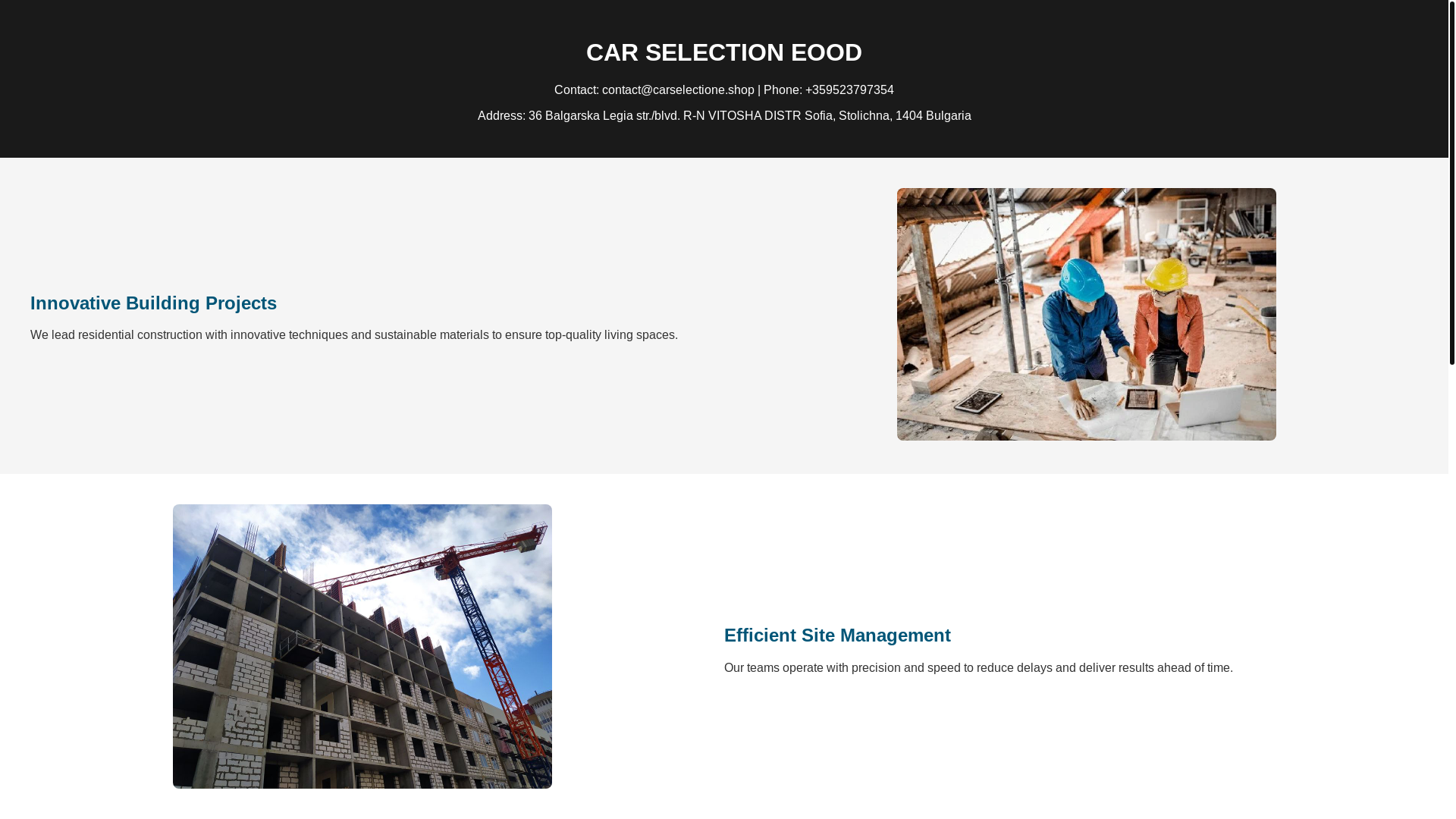 website screenshot of https://carselectione.shop/