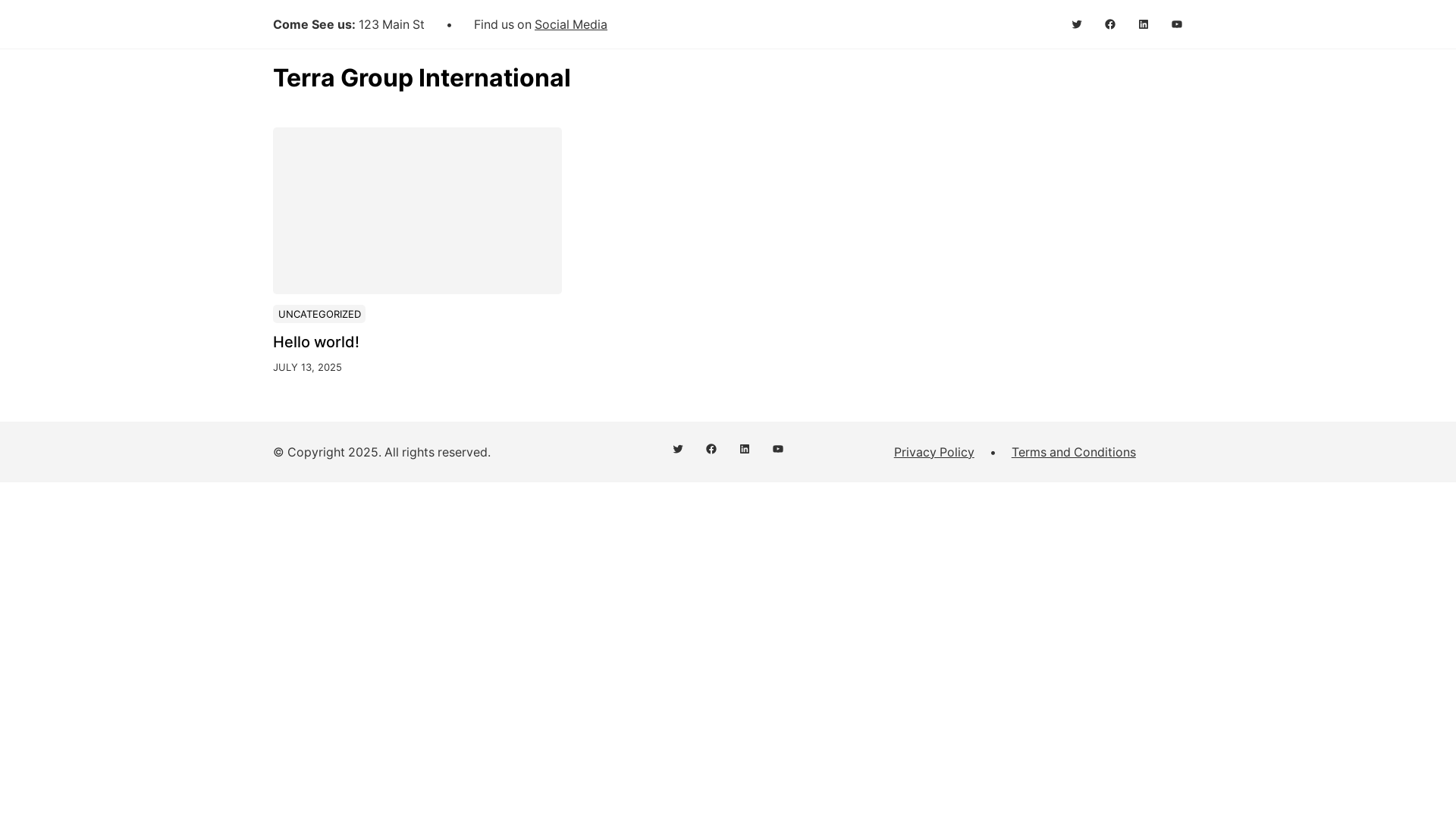 website screenshot of https://terragroupinternational.com/