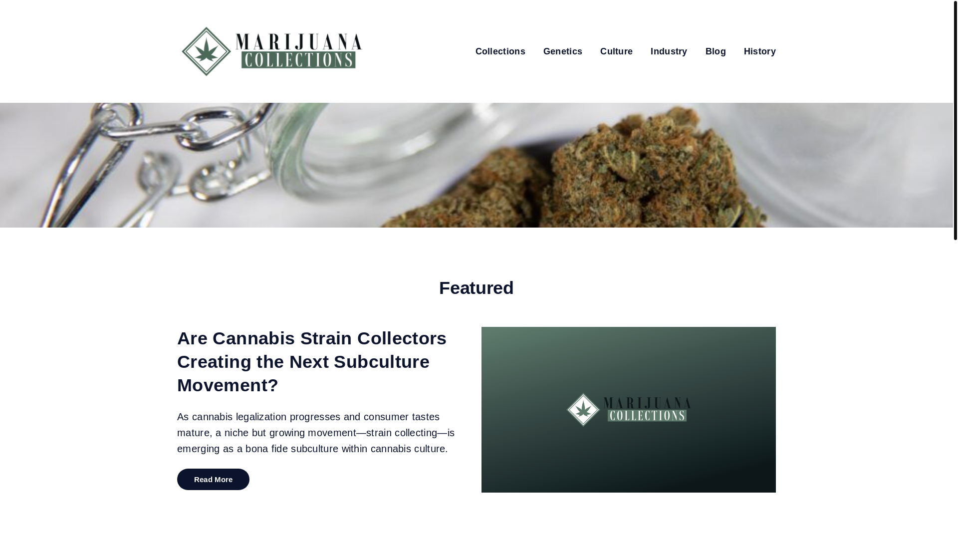 website screenshot of https://marijuanacollections-com.pages.dev/