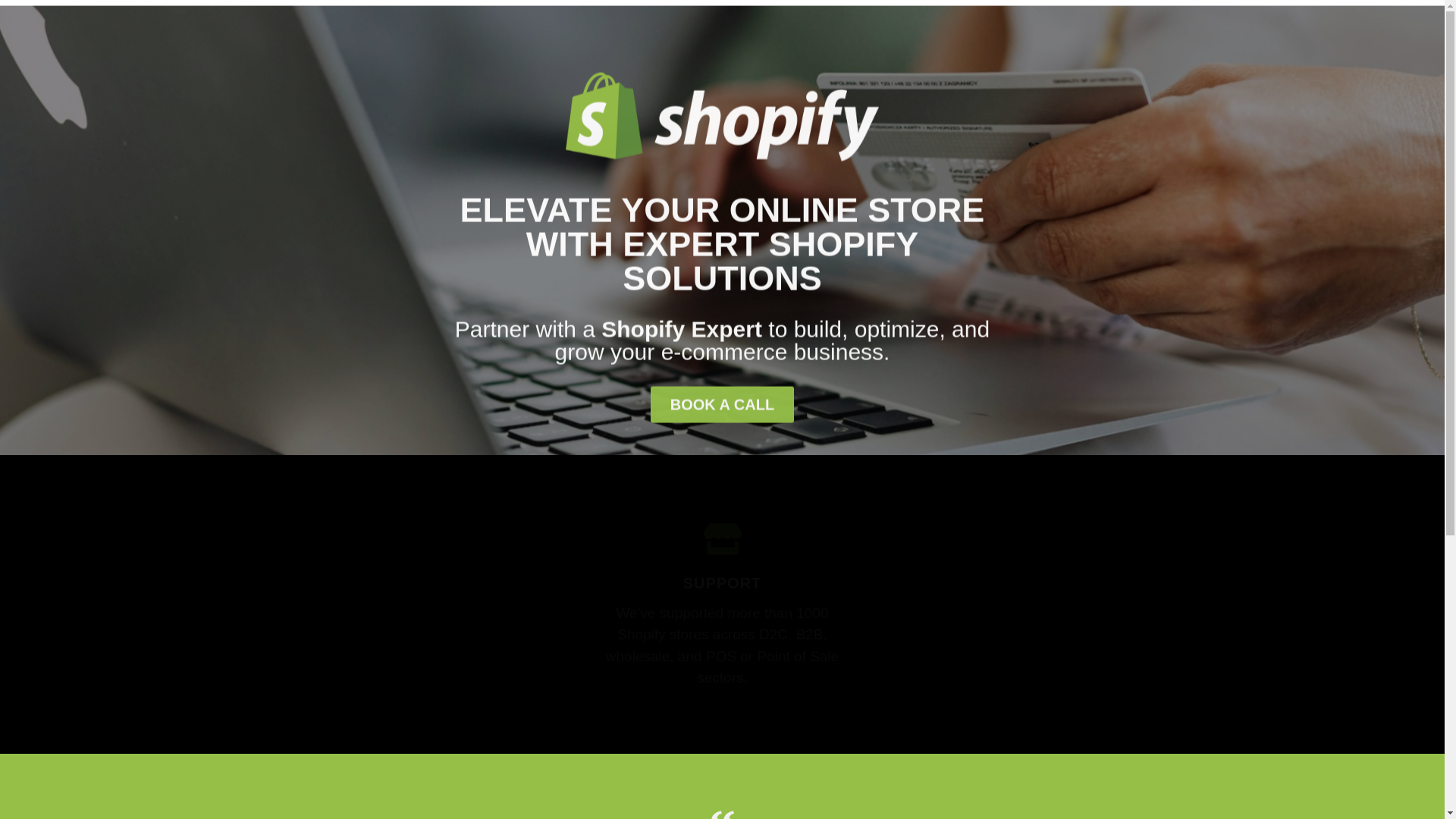 website screenshot of https://shopifydevexp.com