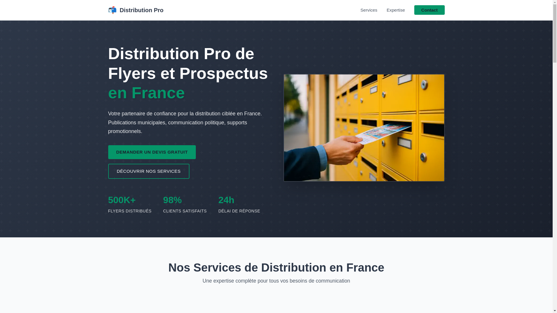 website screenshot of https://distribution-pro.fr/