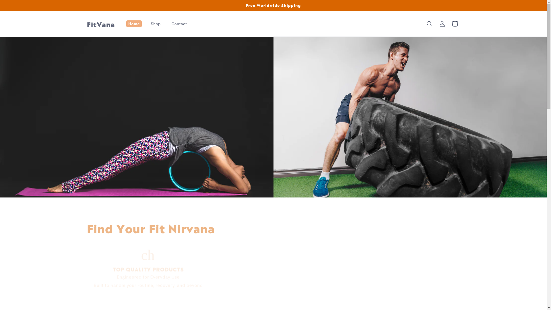 website screenshot of https://fitvana.org/