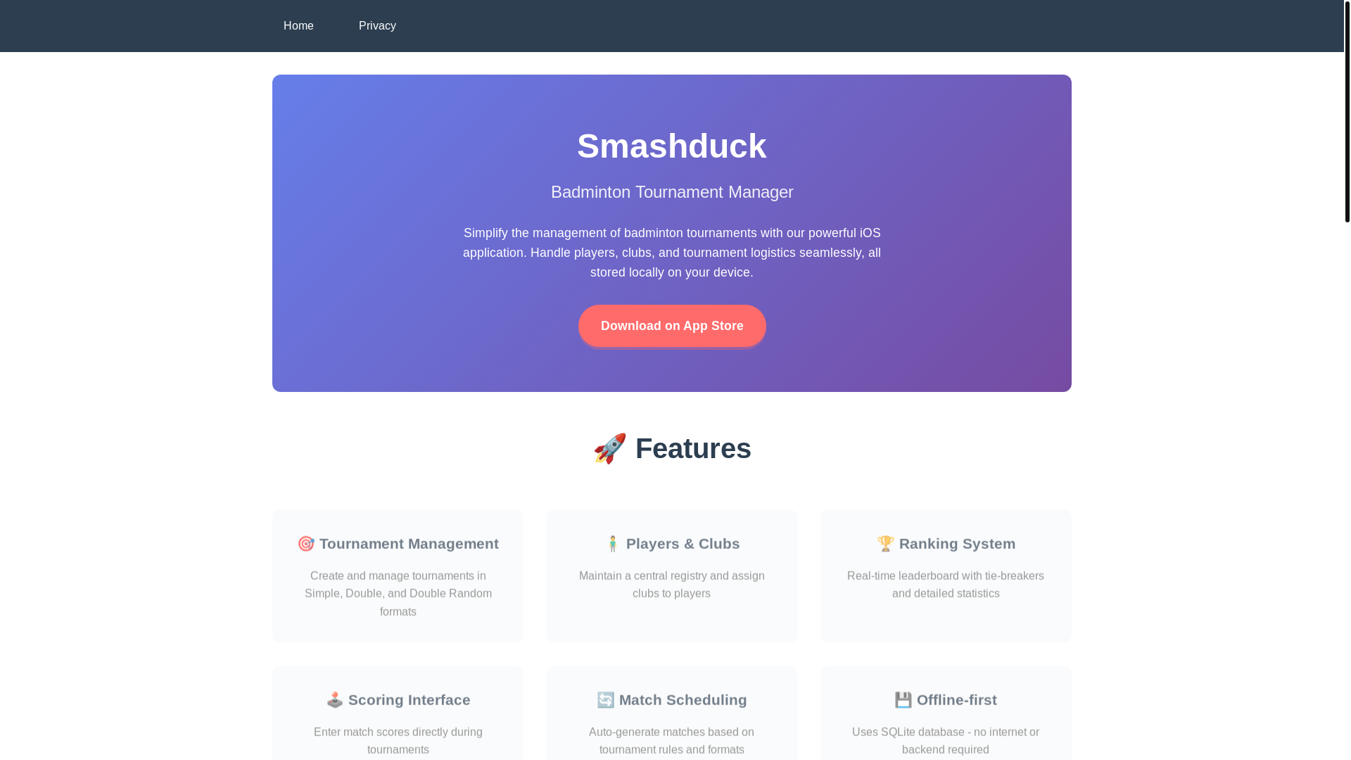 website screenshot of https://smashduck.fr/