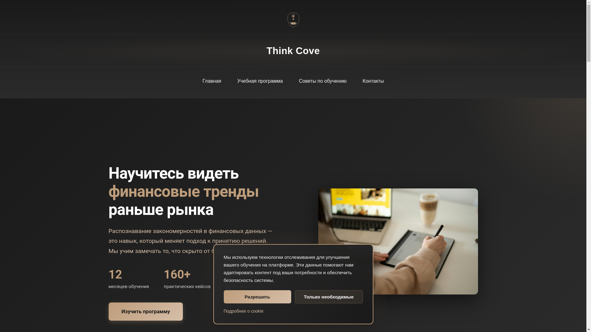 website screenshot of https://thinkcovekz.com/