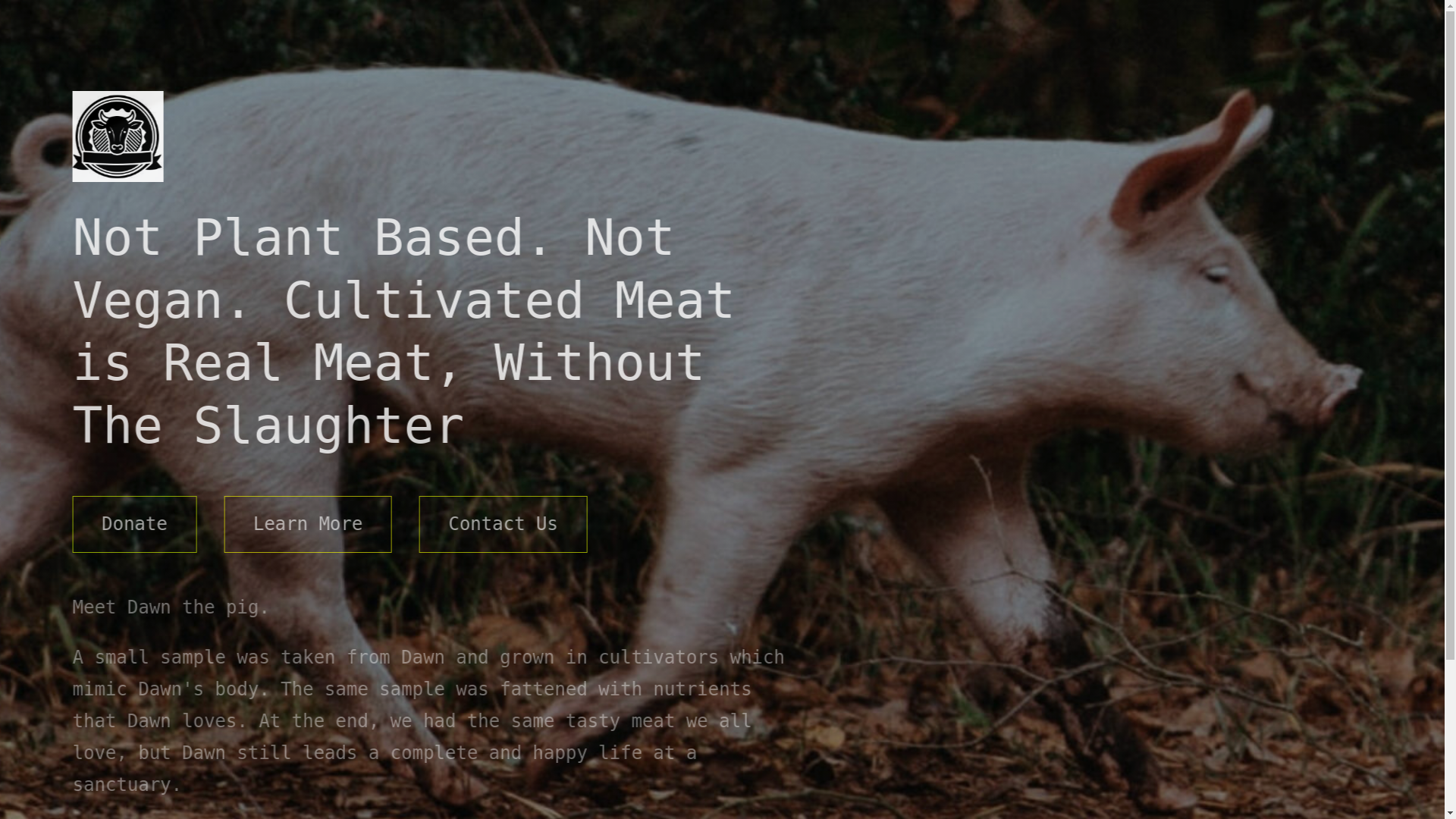 website screenshot of https://cleanmeatalliance.org/