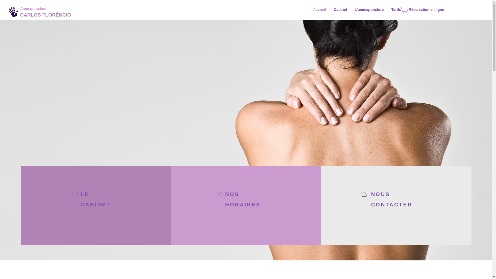 website screenshot of https://ammapuncture.fr/