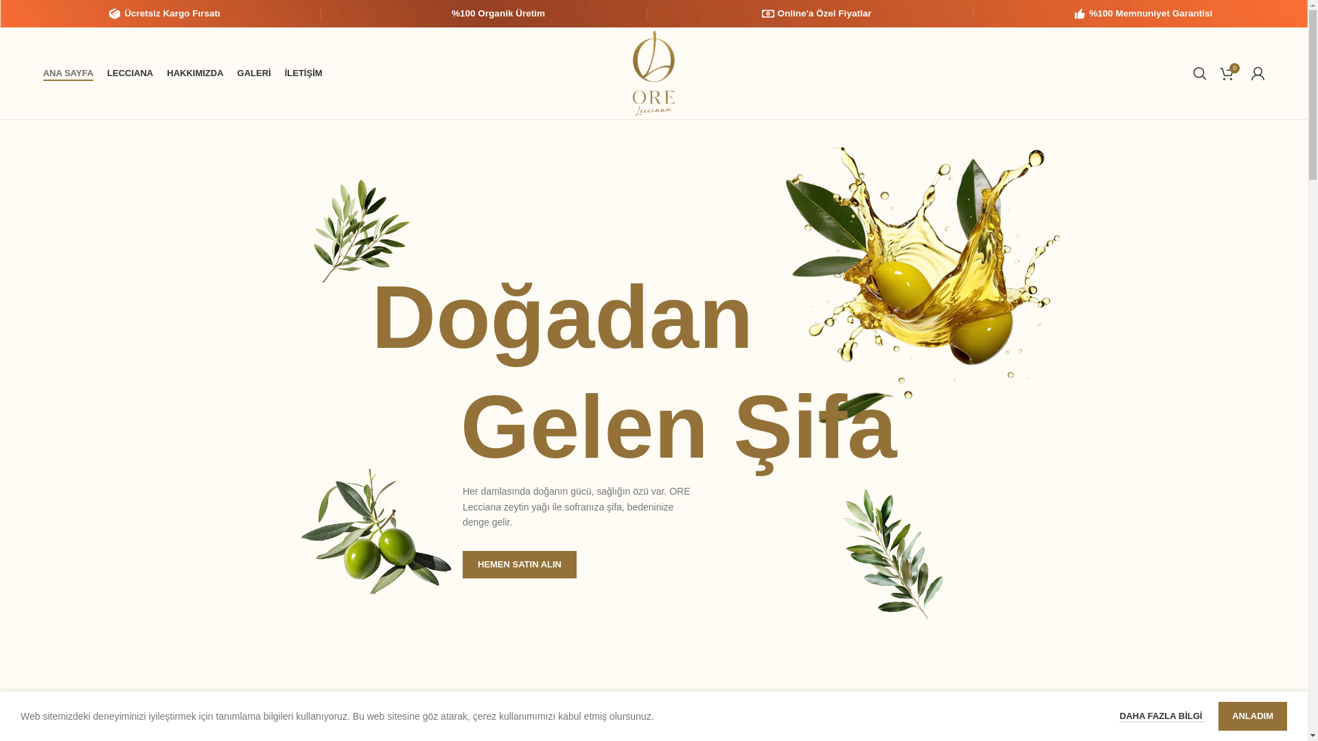 website screenshot of https://lecciana.com.tr/