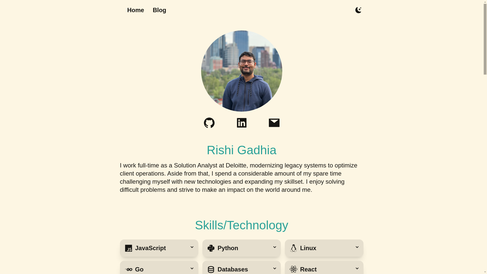 website screenshot of https://rishigadhia.com/