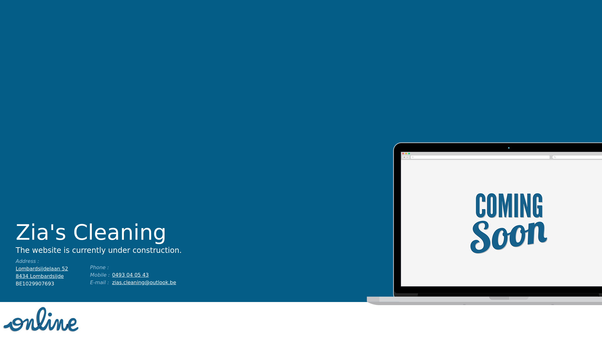 website screenshot of https://ziascleaning.be/