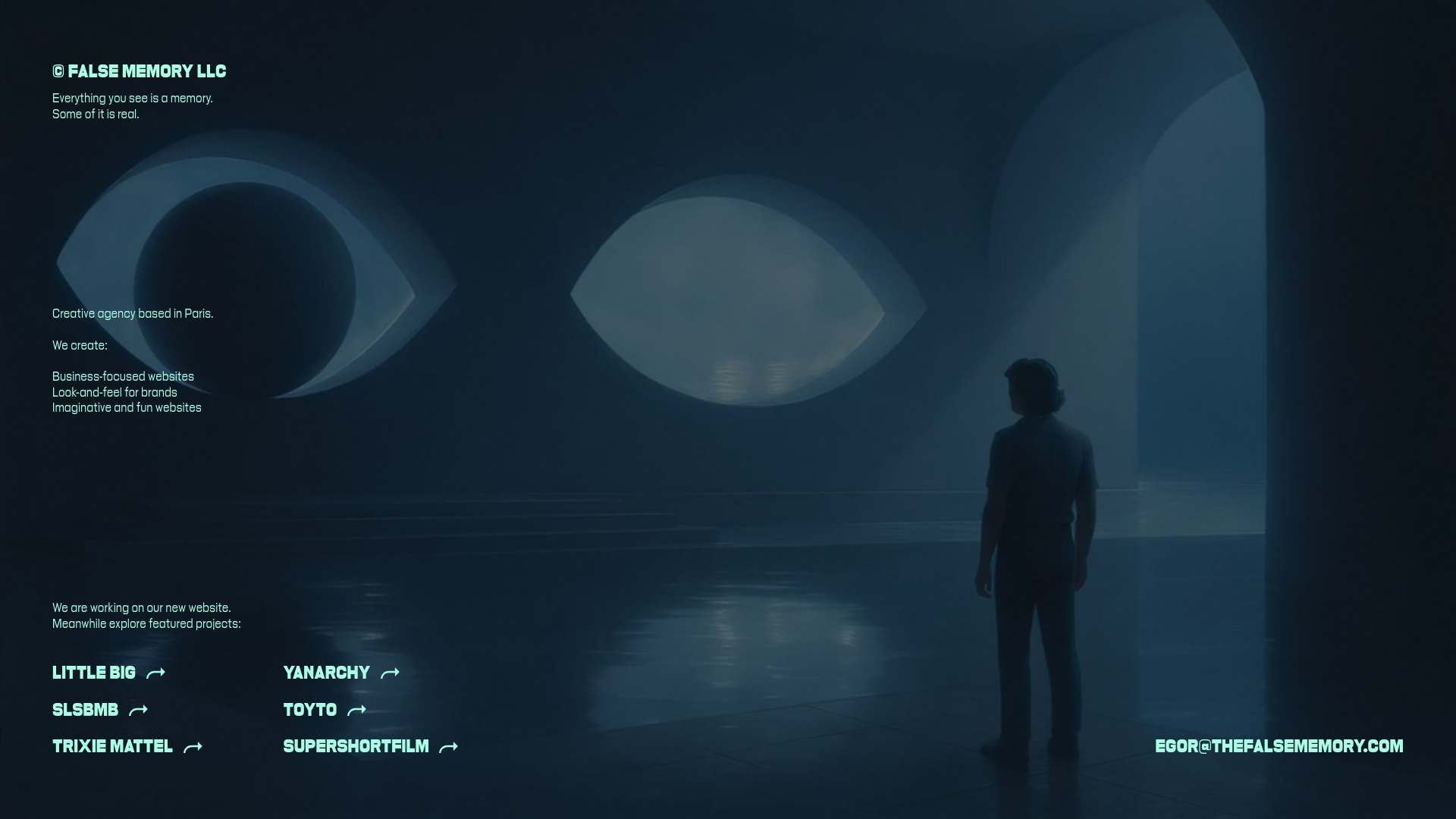 website screenshot of https://webfalsememory.com/
