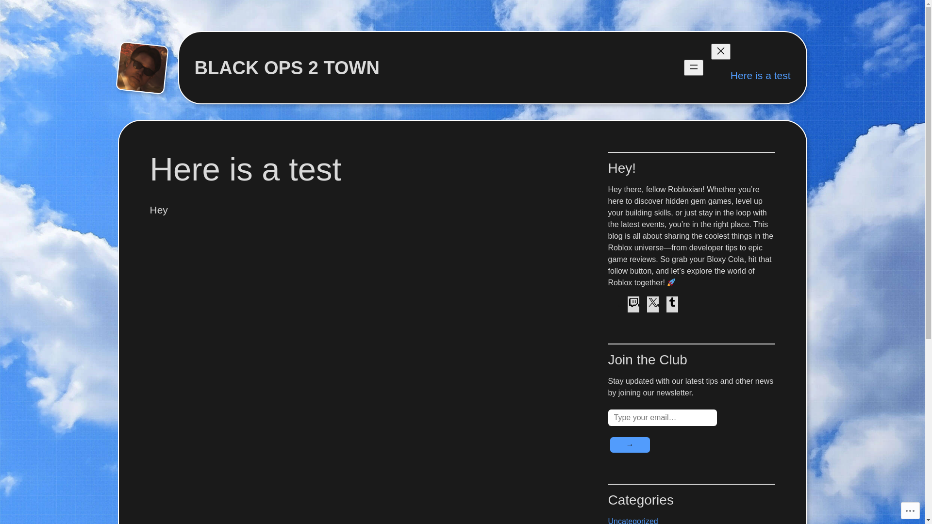 website screenshot of https://steezytown.com/
