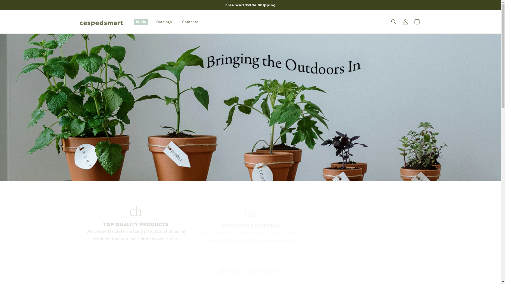 website screenshot of https://cespedsmart.store/