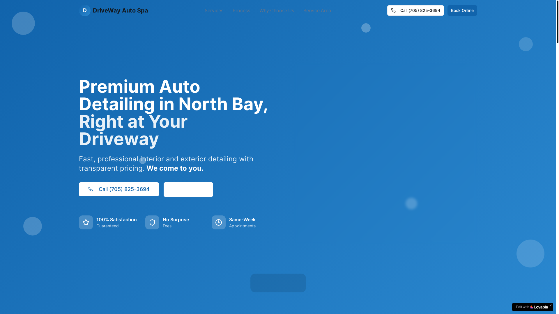 website screenshot of https://drivewayautospa.ca/