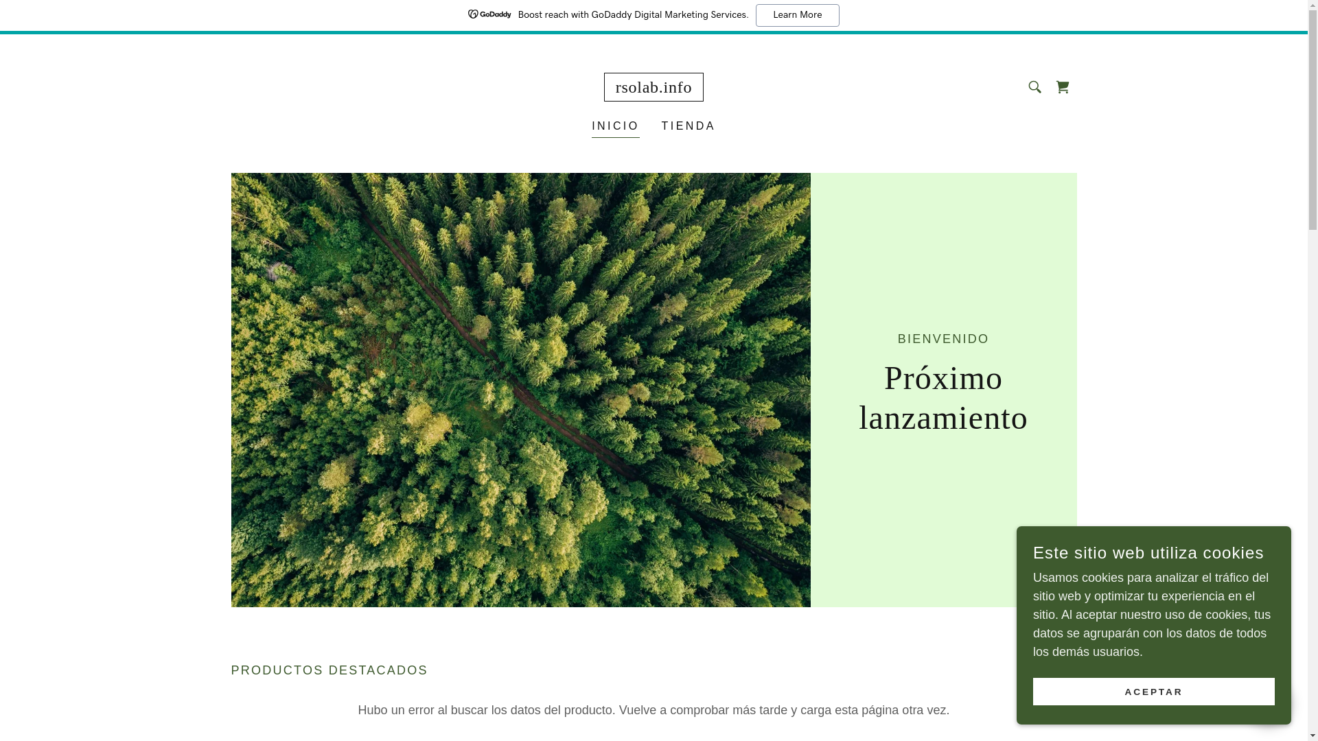 website screenshot of https://rsolab.info/