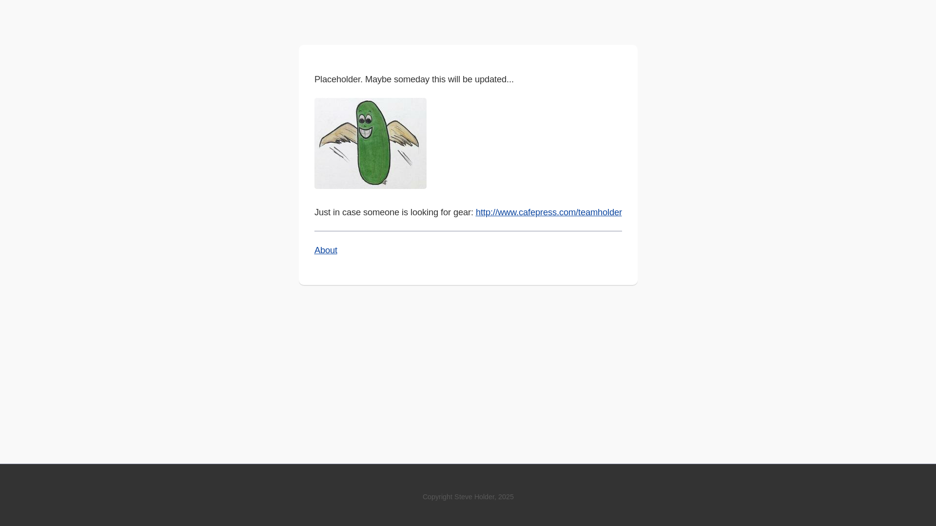 website screenshot of https://teamholder.pages.dev/