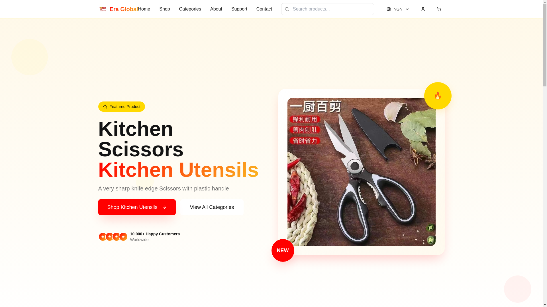 website screenshot of https://eraglobalstore.com/