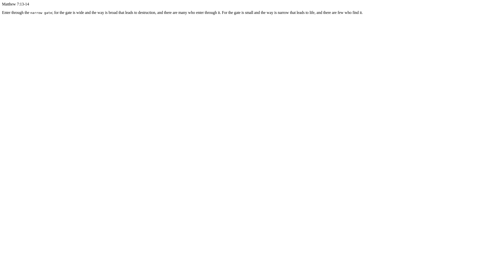 website screenshot of https://narrowgate.to/