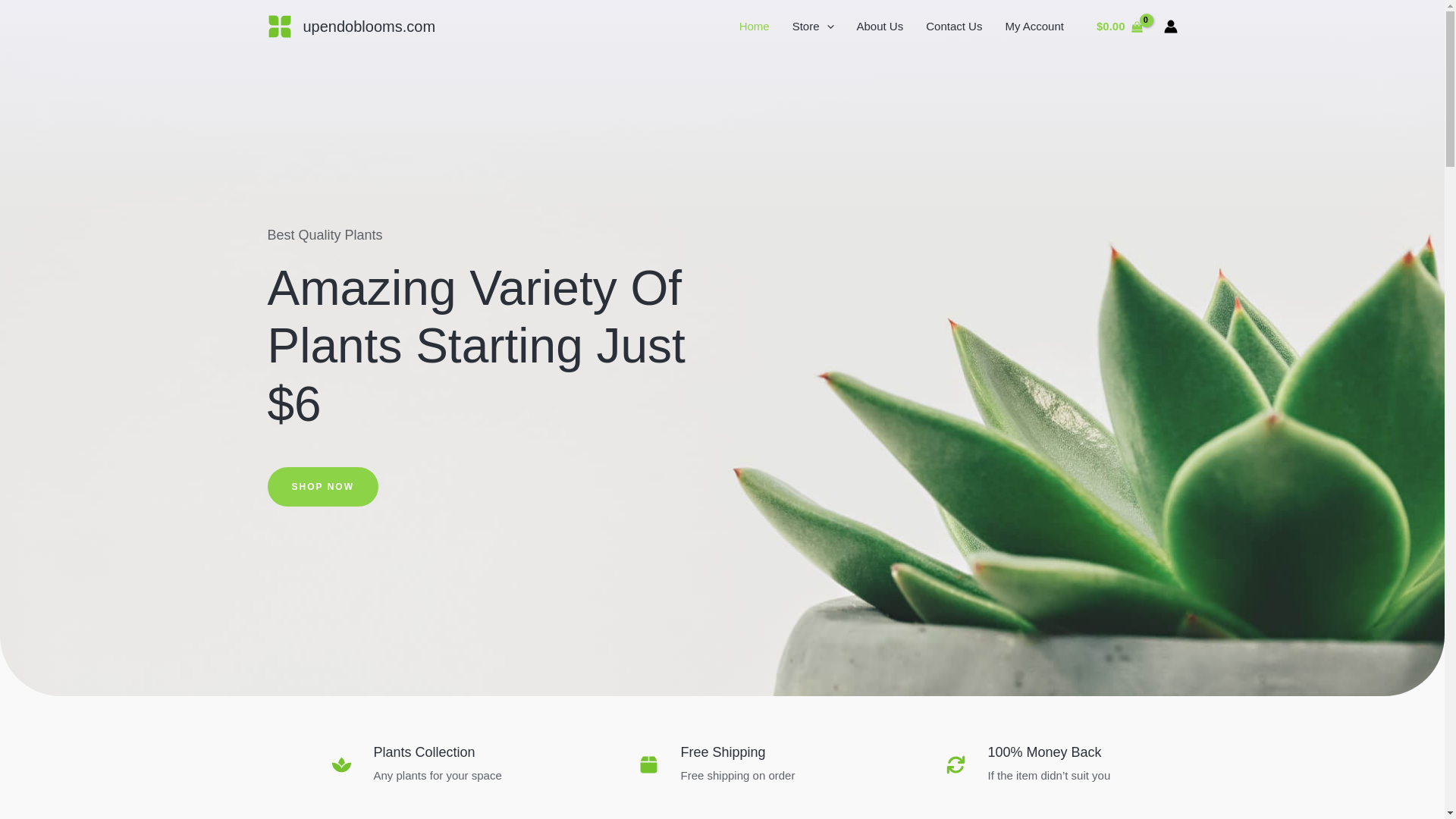 website screenshot of https://upendoblooms.com/