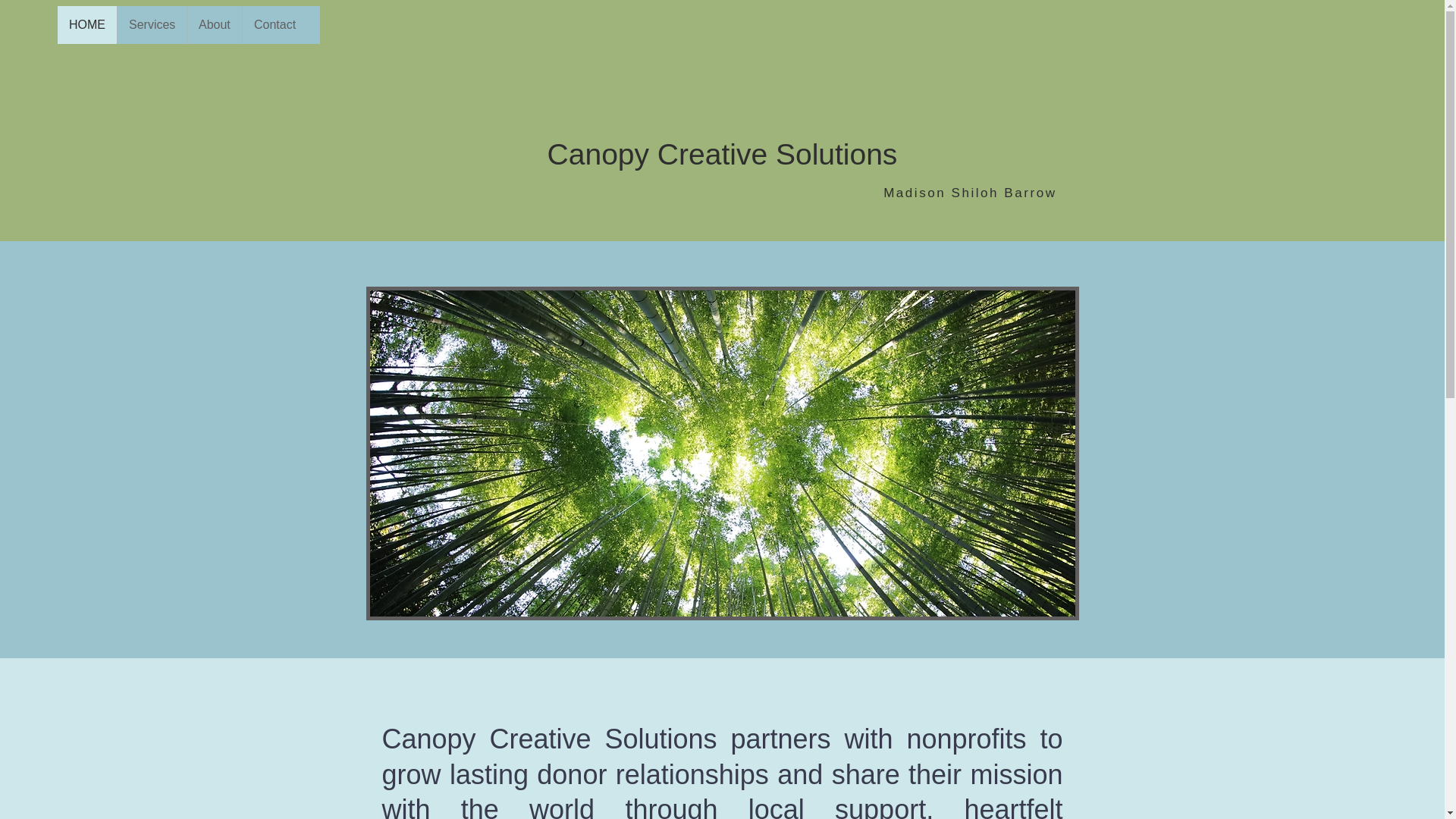 website screenshot of https://canopycreativesolutions.org/