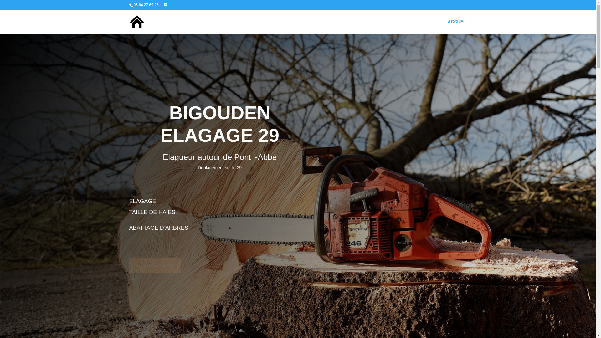 website screenshot of https://bigouden-elagage-29.fr/