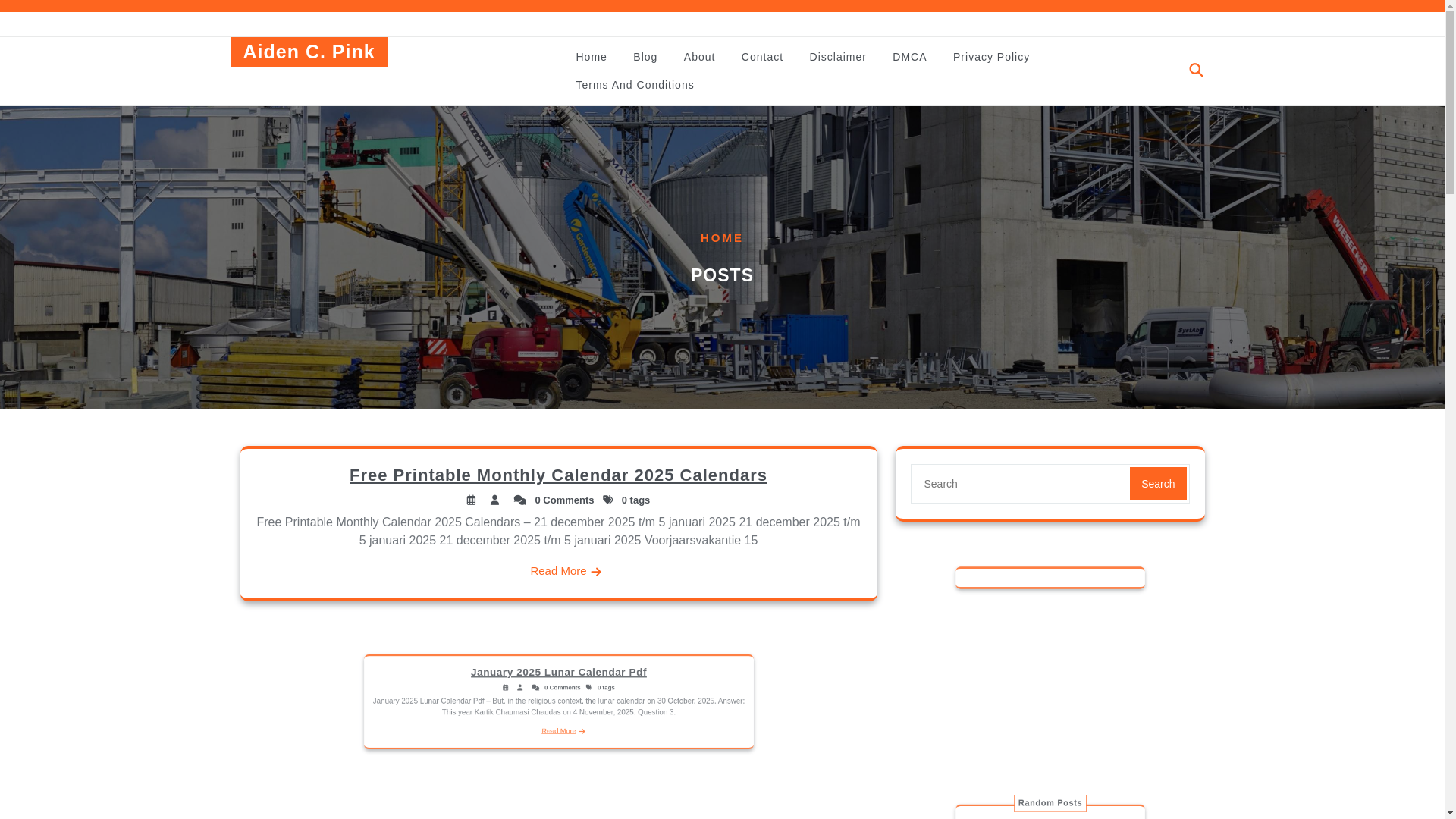 website screenshot of https://aidencpink.pages.dev/