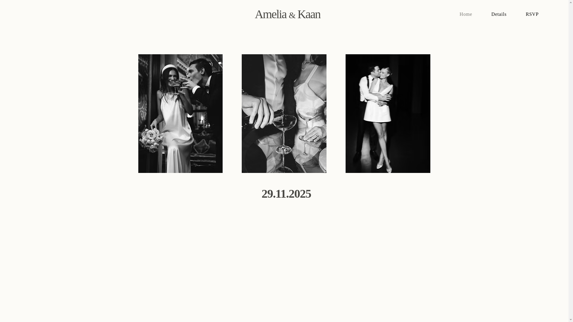 website screenshot of https://ameliakaan.com/
