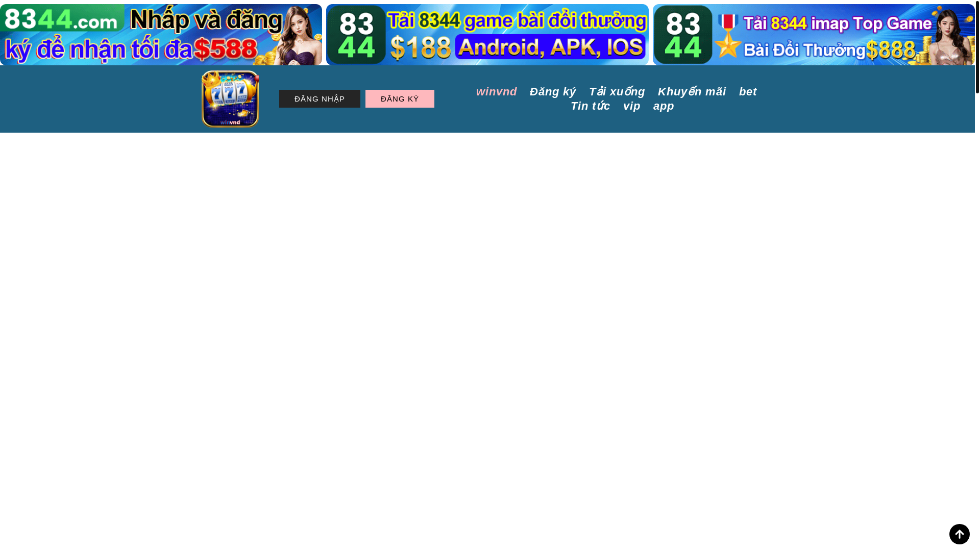 website screenshot of https://winvndv.com/