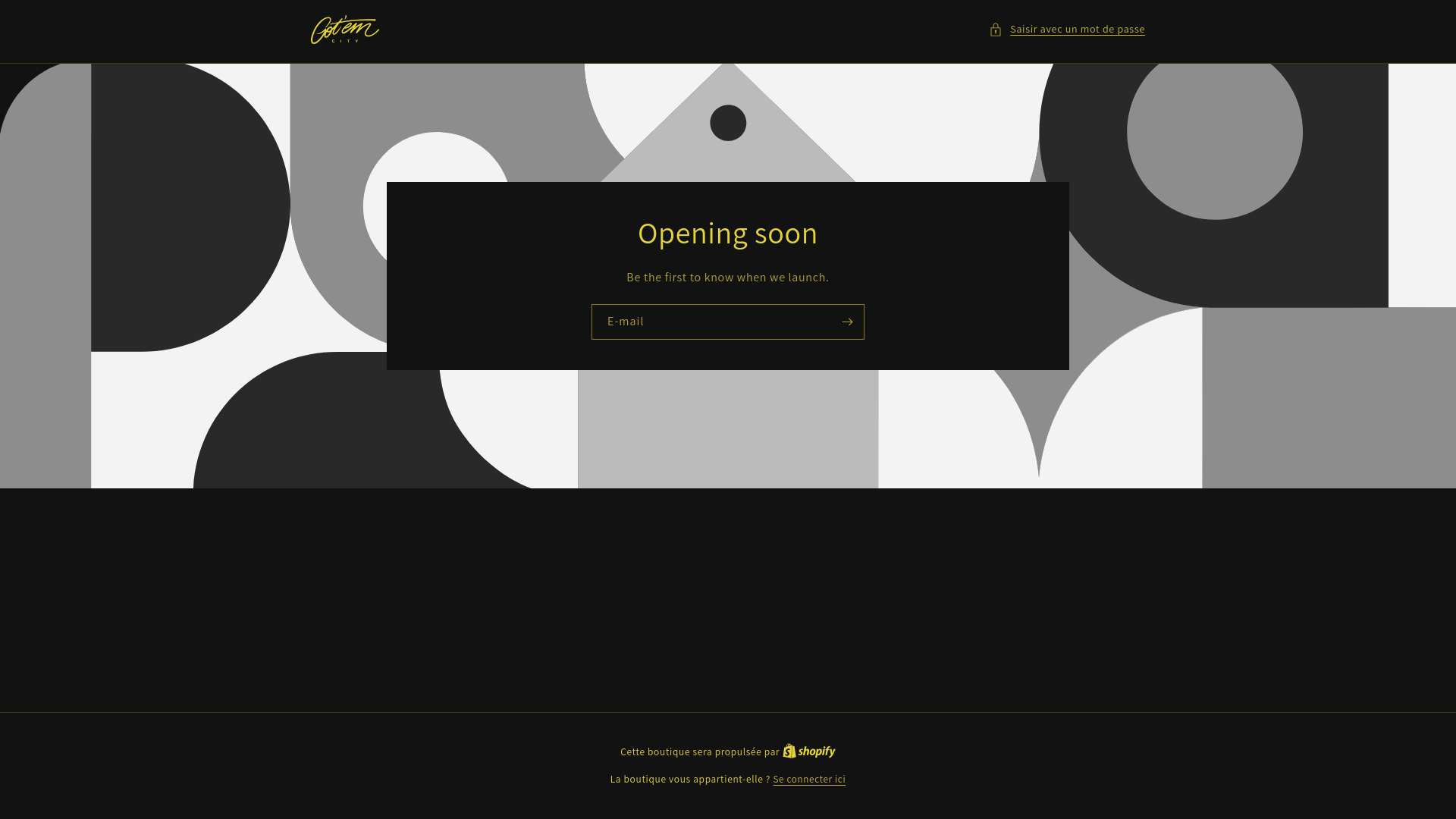 website screenshot of https://gotemcity.be/
