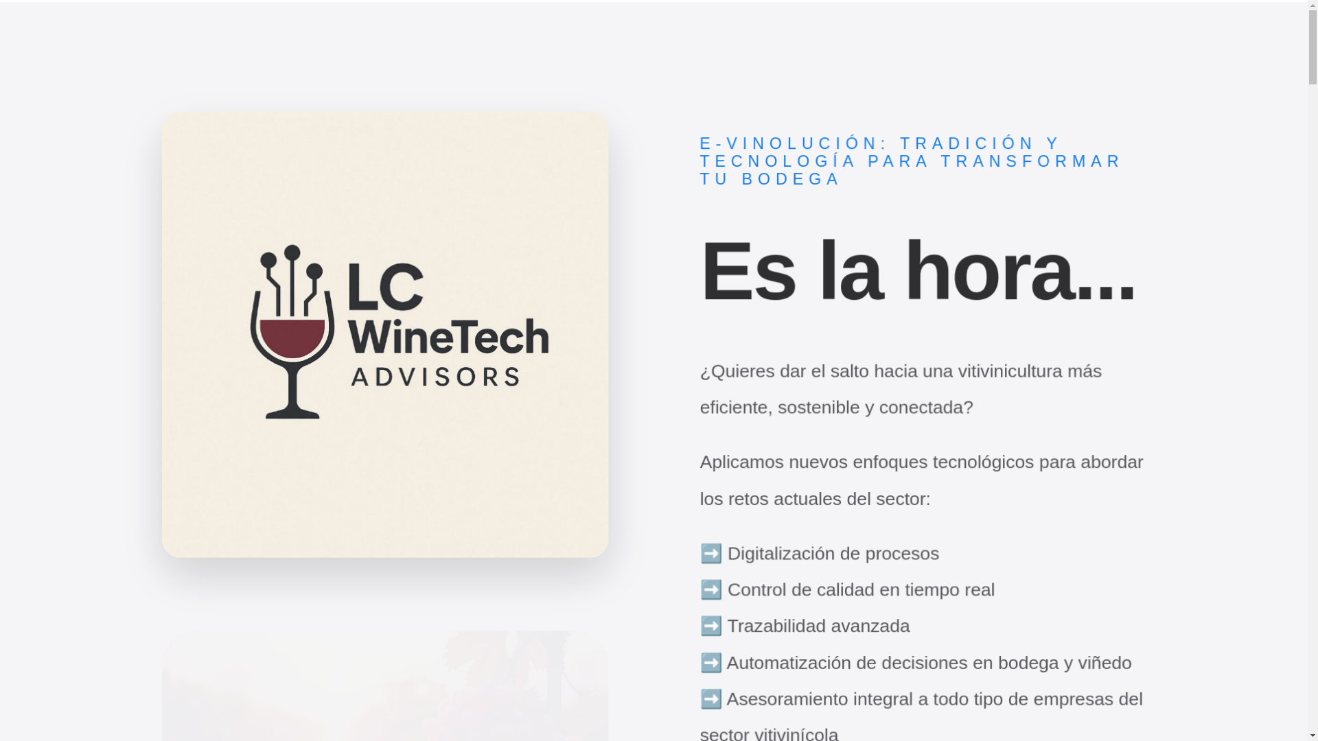 website screenshot of https://lcwinetech.es/