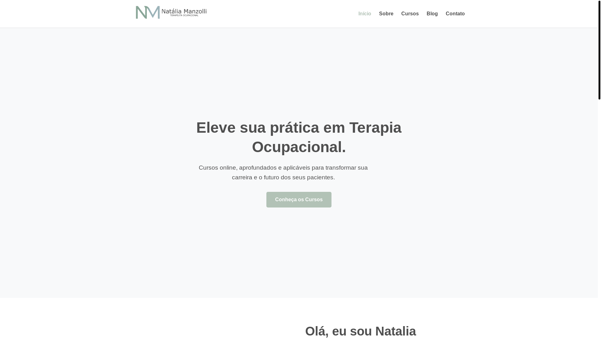website screenshot of https://nataliamanzolli.com.br/