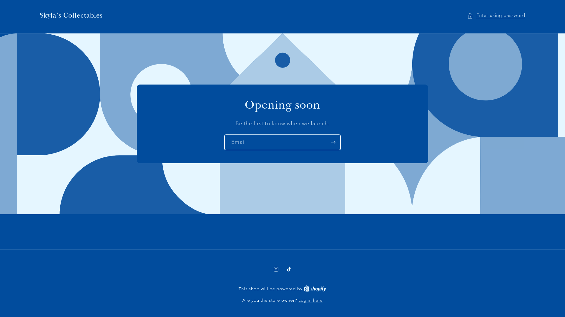 website screenshot of https://skylascollectables.com/