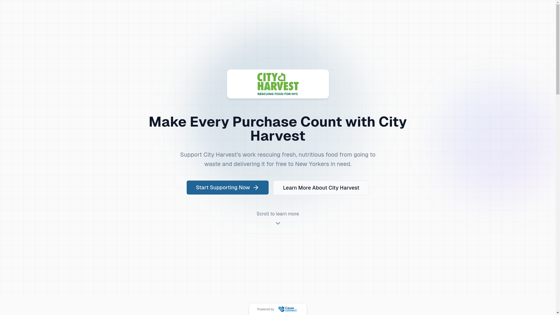 website screenshot of https://causeconnectnyc.org/