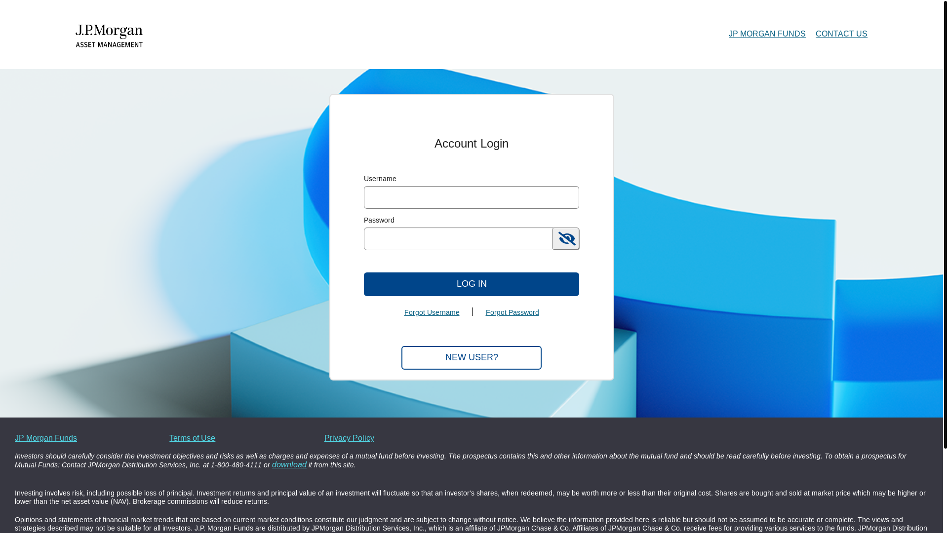 website screenshot of https://www.secureaccountview.com/BFWeb/clients/jpmorgan/imageGrouping