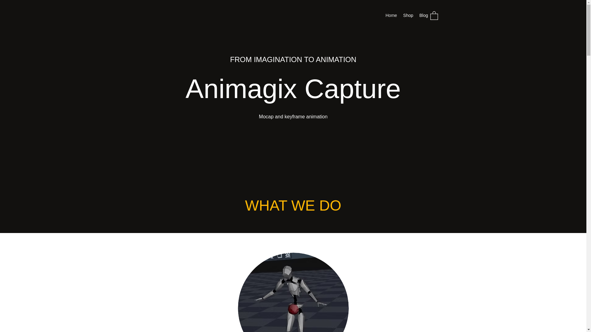 website screenshot of https://animagixcapture.com/