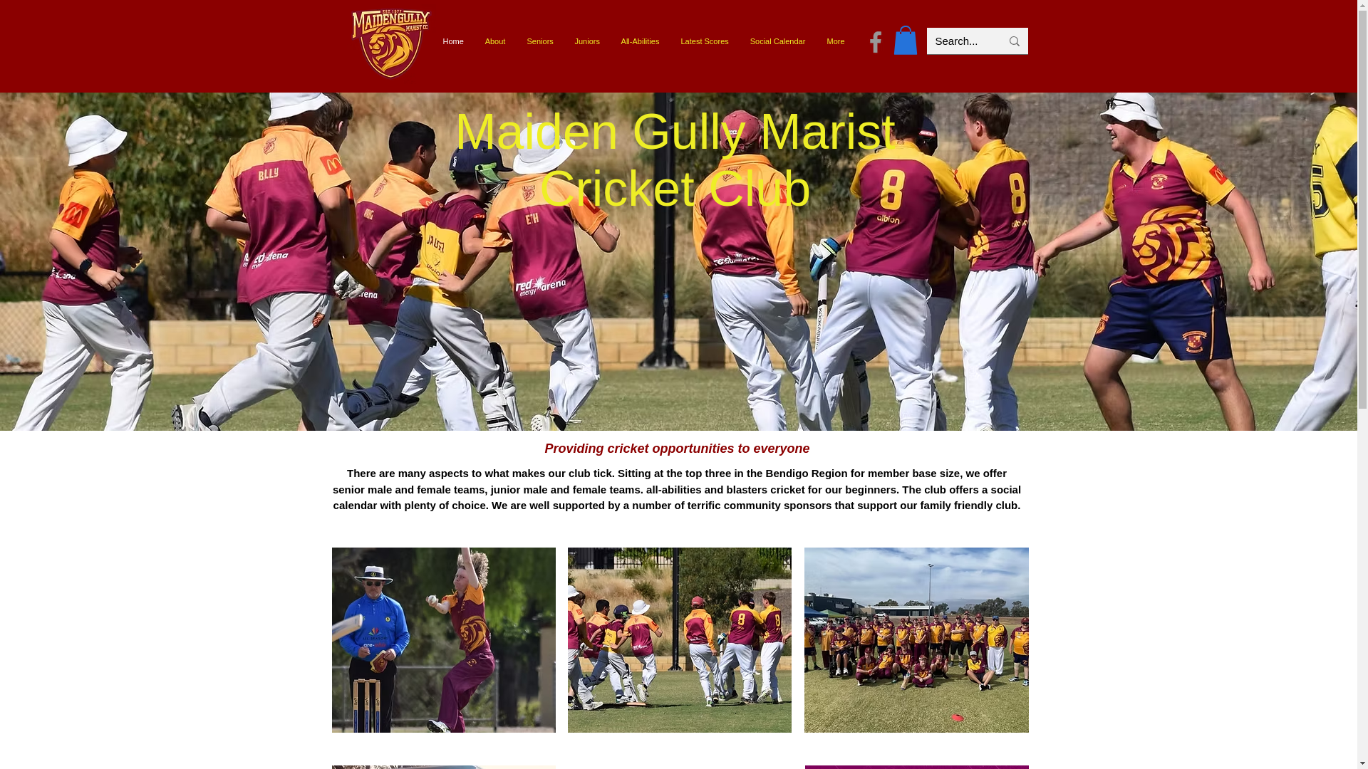 website screenshot of https://maidengullymaristcricketclub.com.au/