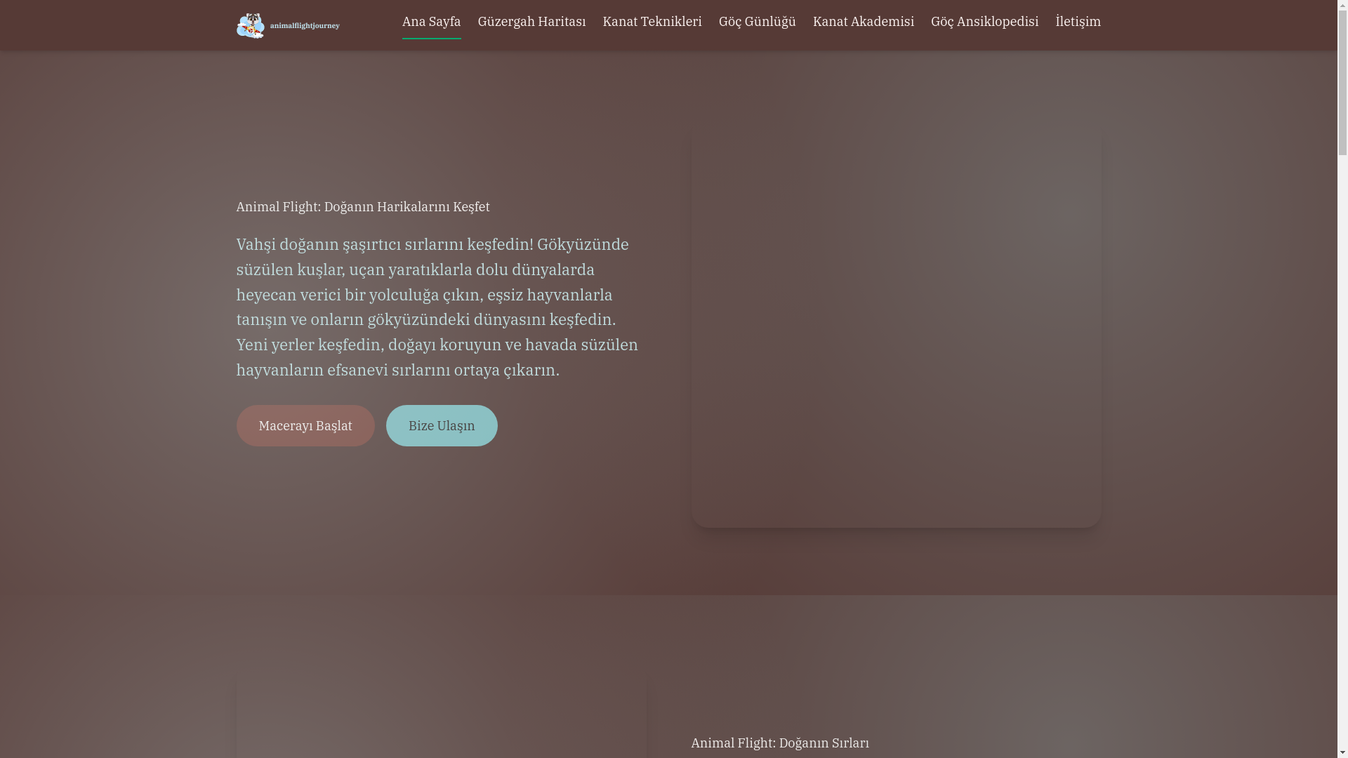 website screenshot of https://animalflightjourney.com/