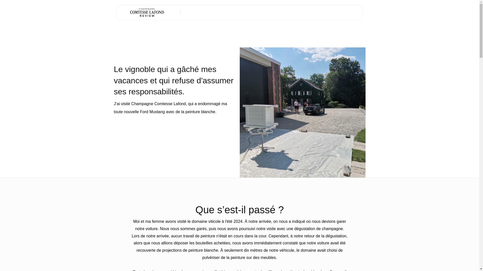 website screenshot of https://comtesselafondreview.info/