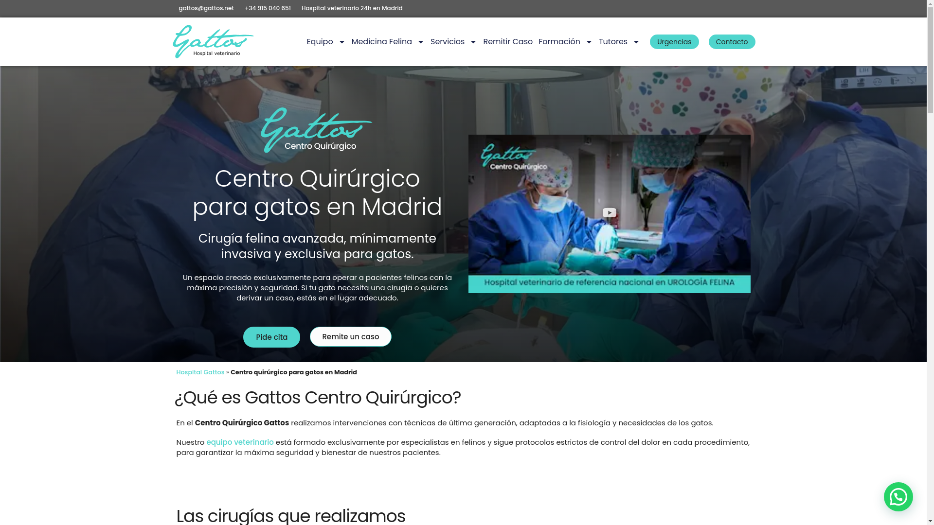 website screenshot of https://gattoscentroquirurgico.es/