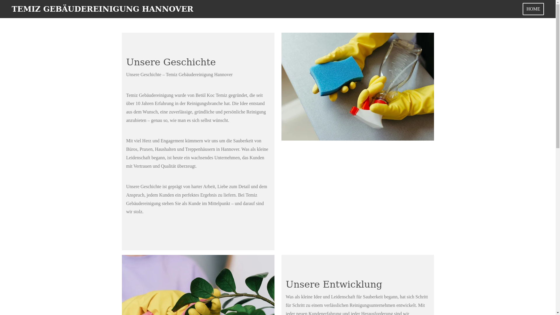 website screenshot of https://temizgebaeudereinigunghannover.de/