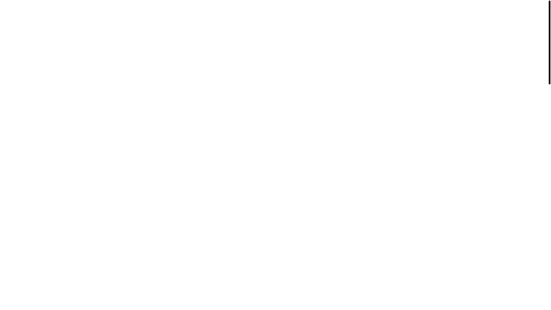 website screenshot of https://somani.nl/